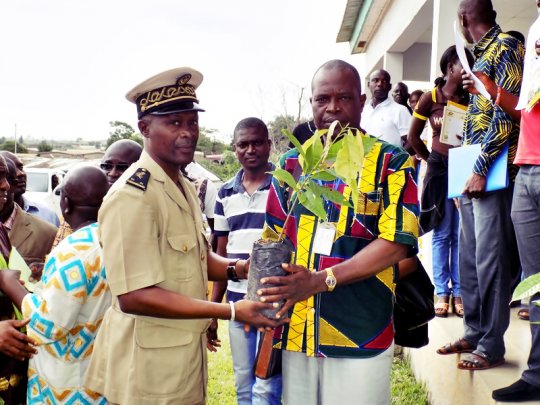 Communiqué de presse: L’OMCC et l’ANOPACI distribuent des intrants aux cultivateurs de Cacao en Côte d’Ivoire
